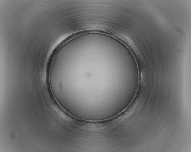 X0000113180780200909181852