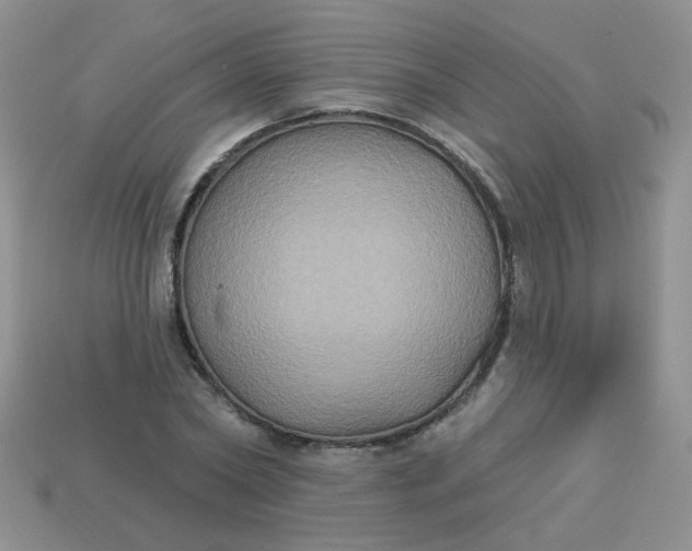 X0000113180782200909181852