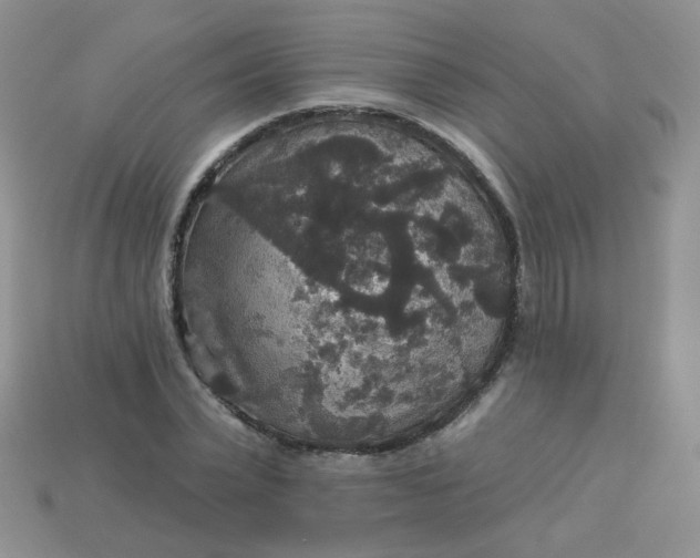 X0000113180783200909181852