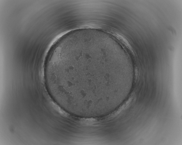 X0000113180784200909181852