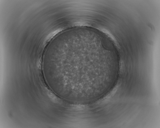 X0000113180785200909181852