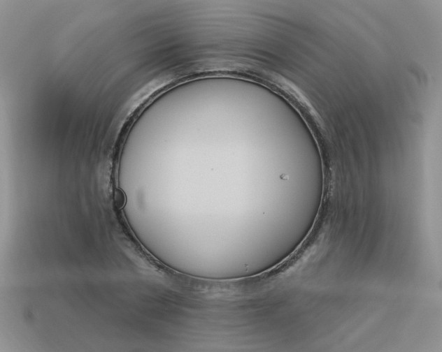 X0000113180786200909181852