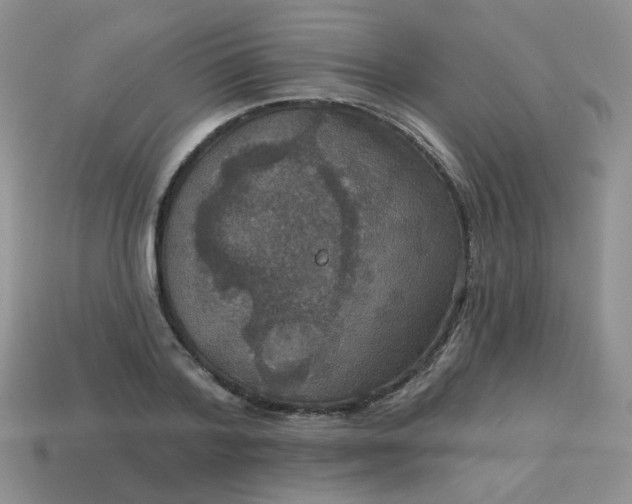 X0000113180788200909181852