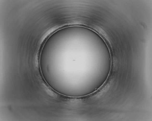 X0000113180789200909181852