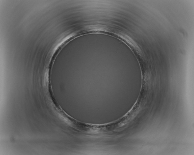 X0000113180790200909181852