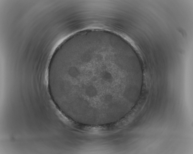 X0000113180791200909181852