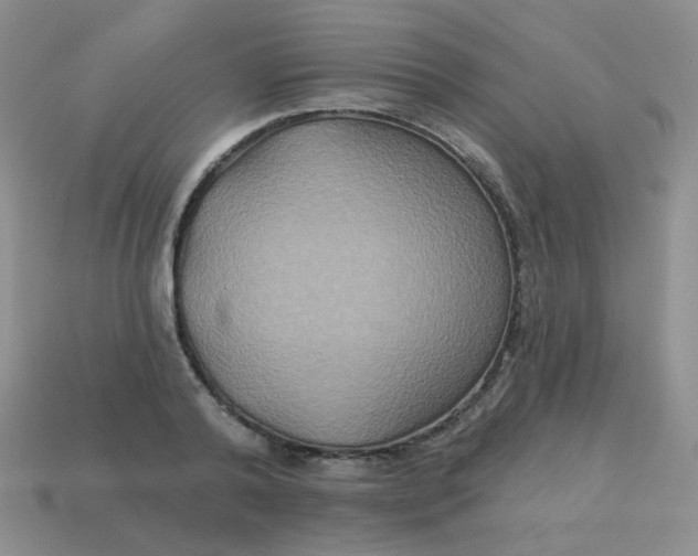 X0000113180792200909181852