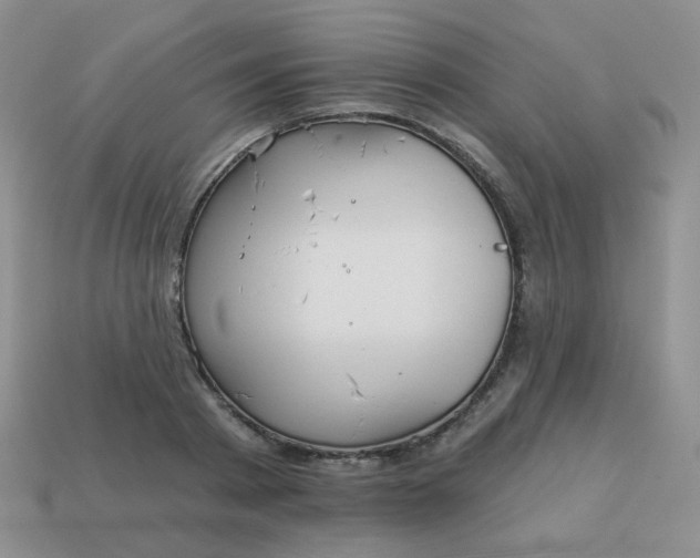 X0000113180793200909181852