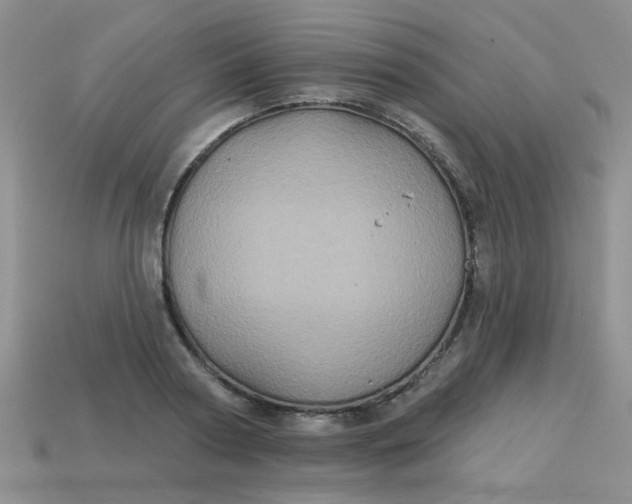 X0000113180794200909181852