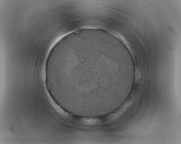 X0000113180795200909181852