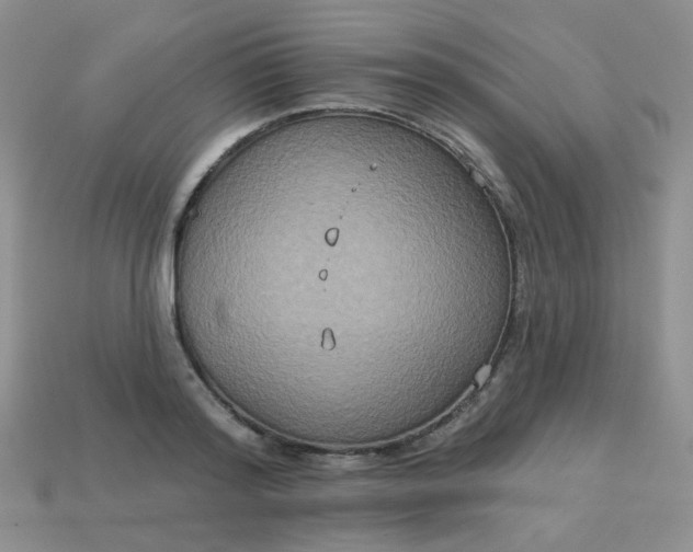 X0000113180796200909181852