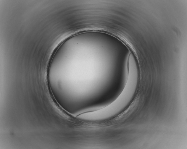 X0000113180797200909181852