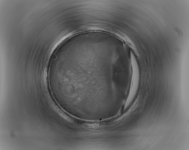 X0000113180798200909181852