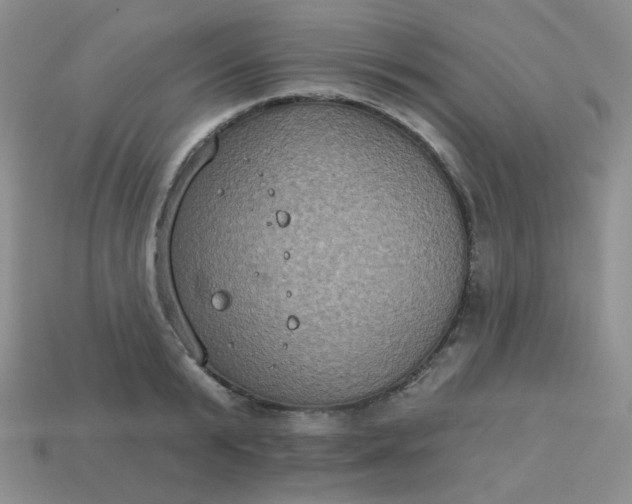 X0000113180799200909181852