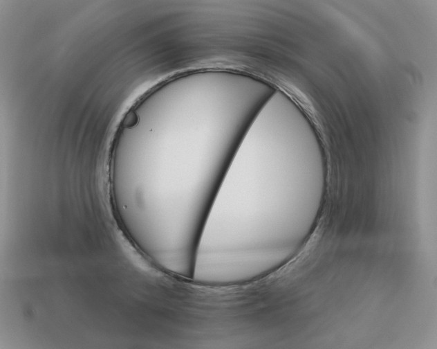 X0000113180800200909181852