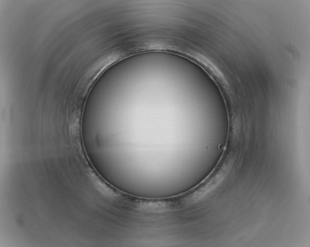 X0000113180801200909181852