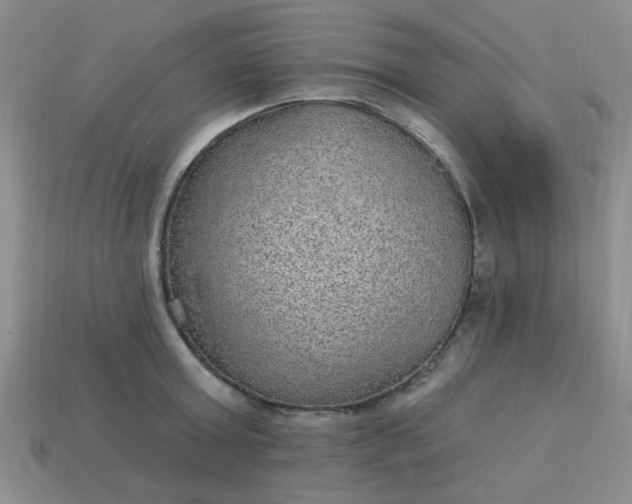 X0000113180803200909181852