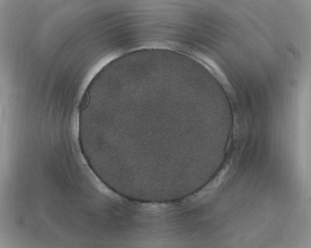 X0000113180804200909181852