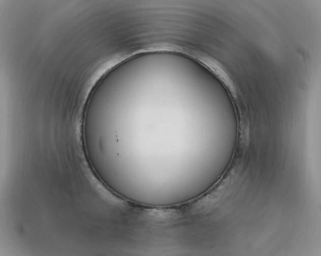 X0000113180805200909181852