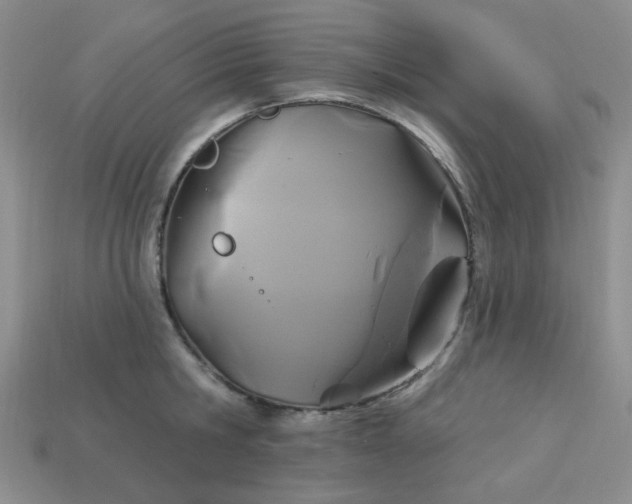 X0000113180806200909181852