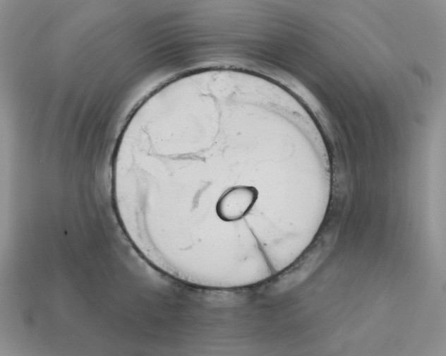 X0000113180807200909181852