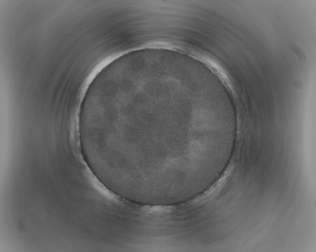 X0000113180808200909181852