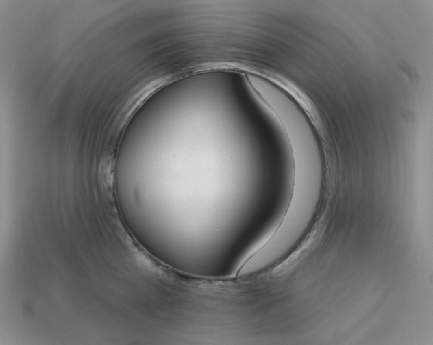 X0000113180809200909181852