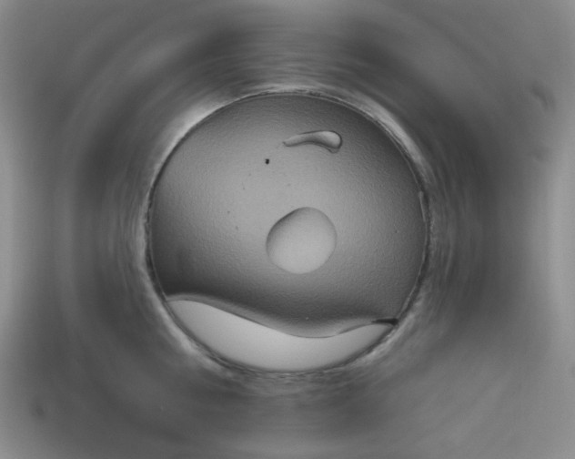 X0000113180810200909181852