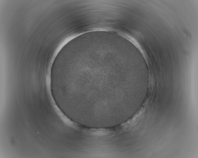 X0000113180811200909181852