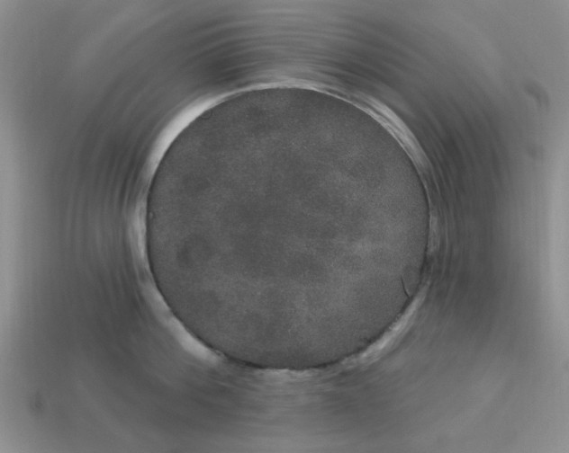 X0000113180812200909181852