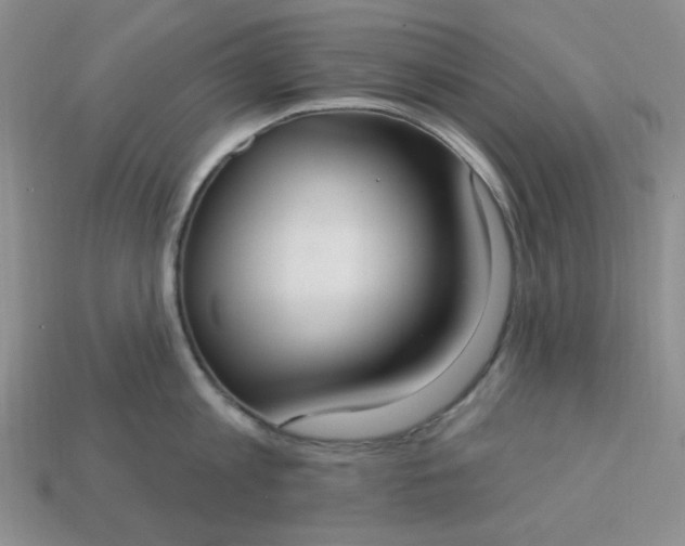 X0000113180813200909181852