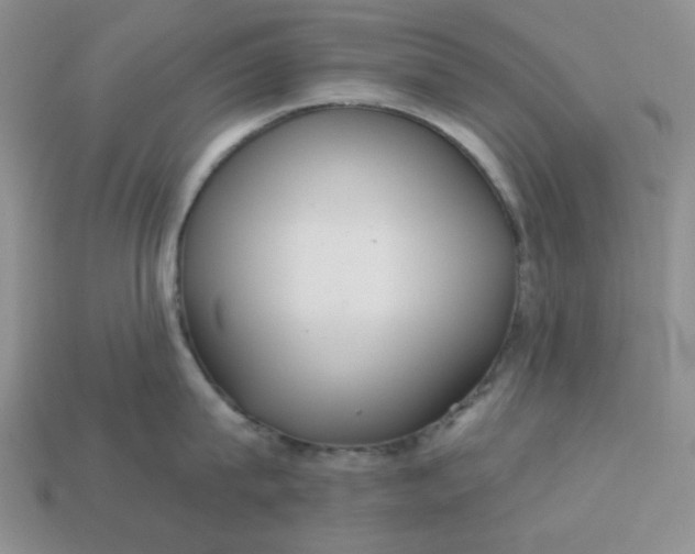 X0000113180815200909181852