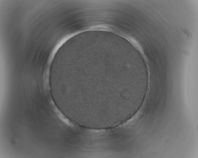 X0000113180816200909181852