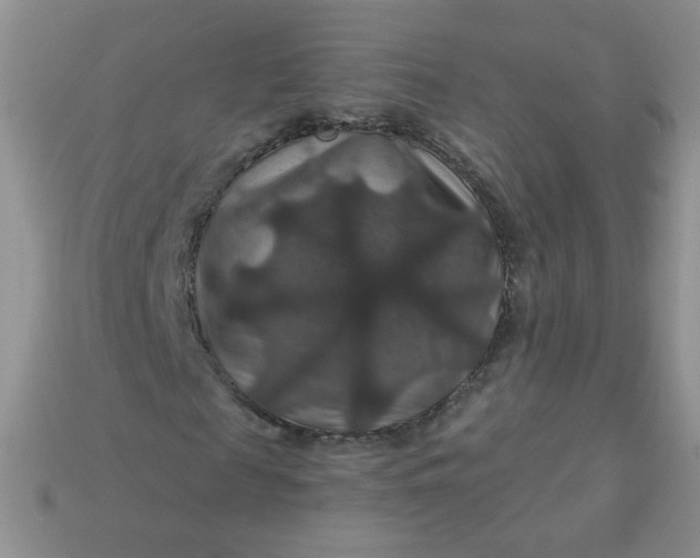 X0000113180817200909181851