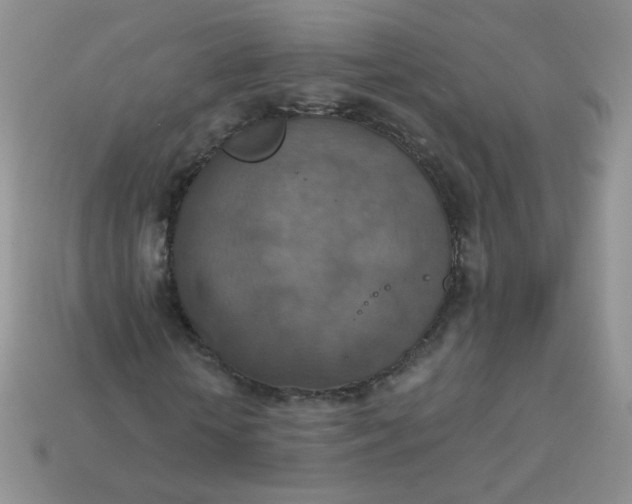 X0000113180818200909181851