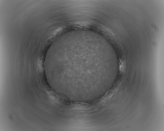 X0000113180819200909181851