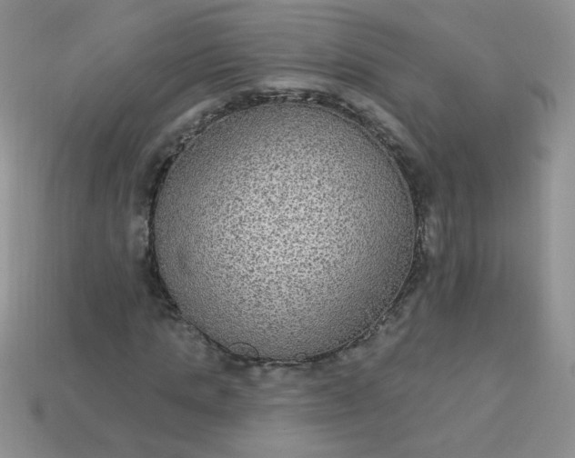 X0000113180821200909181851