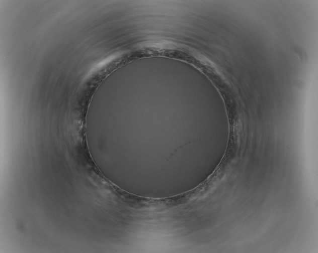 X0000113180822200909181851