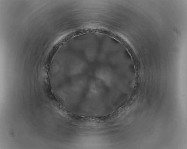 X0000113180823200909181851