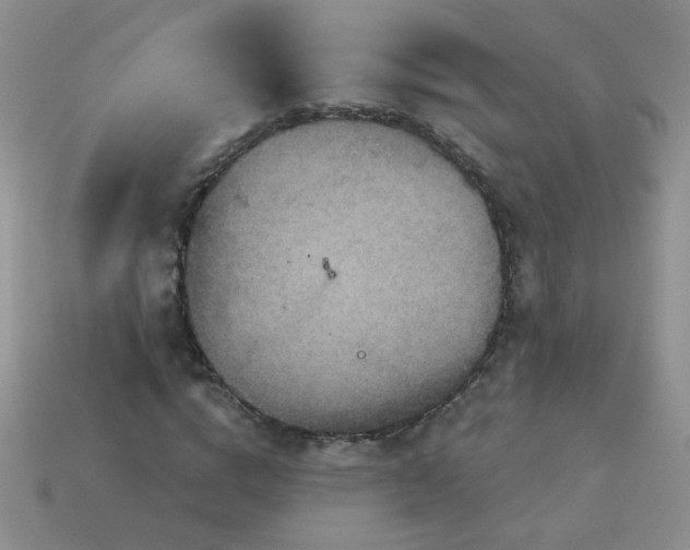 X0000113180824200909181851