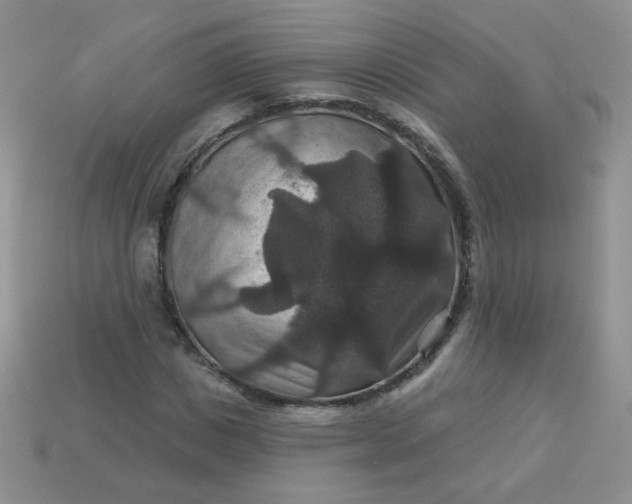 X0000113180825200909181851