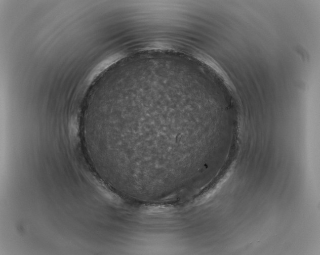 X0000113180826200909181851