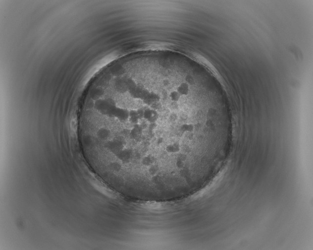 X0000113180827200909181851