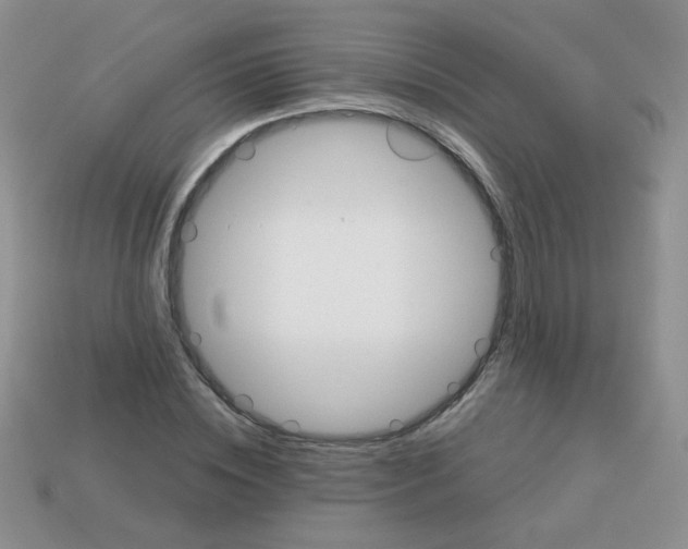 X0000113180828200909181851