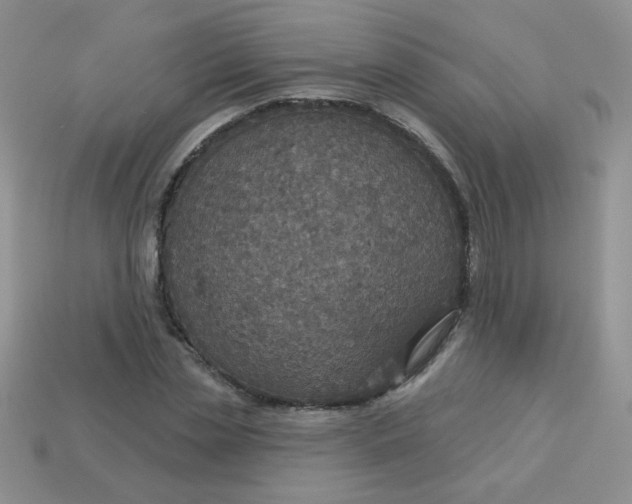 X0000113180829200909181851