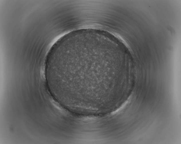 X0000113180830200909181851