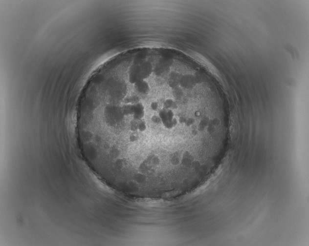 X0000113180831200909181851