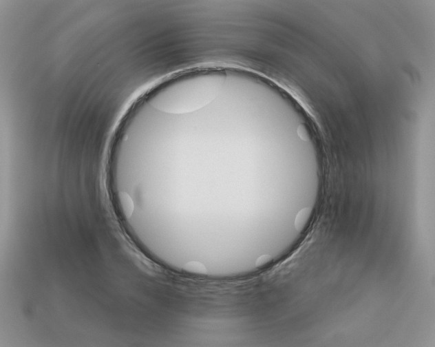 X0000113180832200909181851