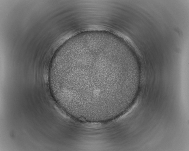 X0000113180833200909181851