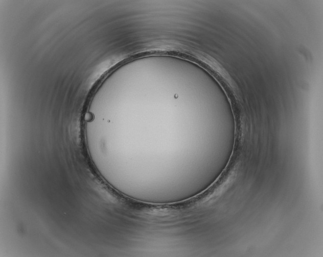 X0000113180834200909181851